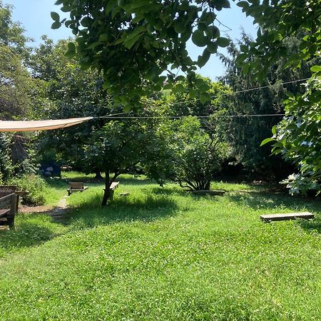 Green Oasis On Water In The Center Of 米兰 外观 照片