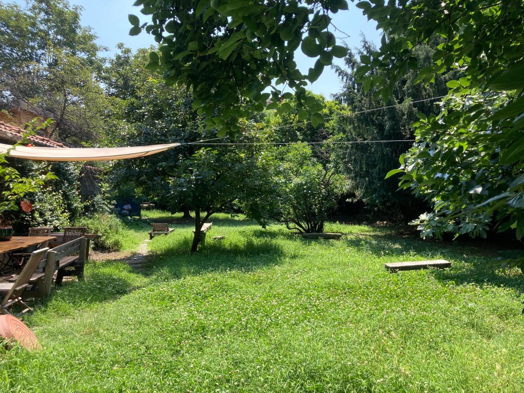 Green Oasis On Water In The Center Of 米兰 外观 照片
