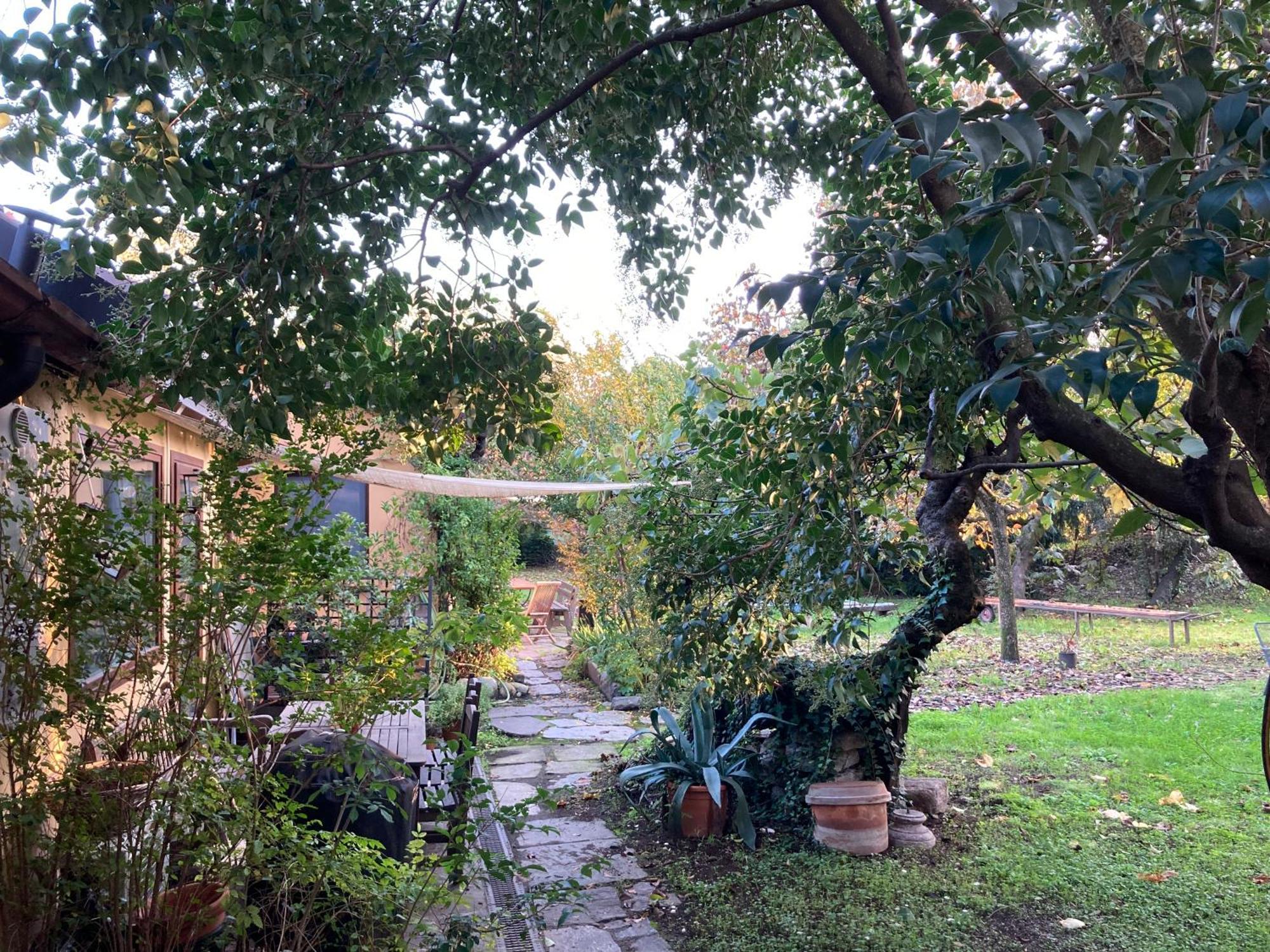 Green Oasis On Water In The Center Of 米兰 外观 照片